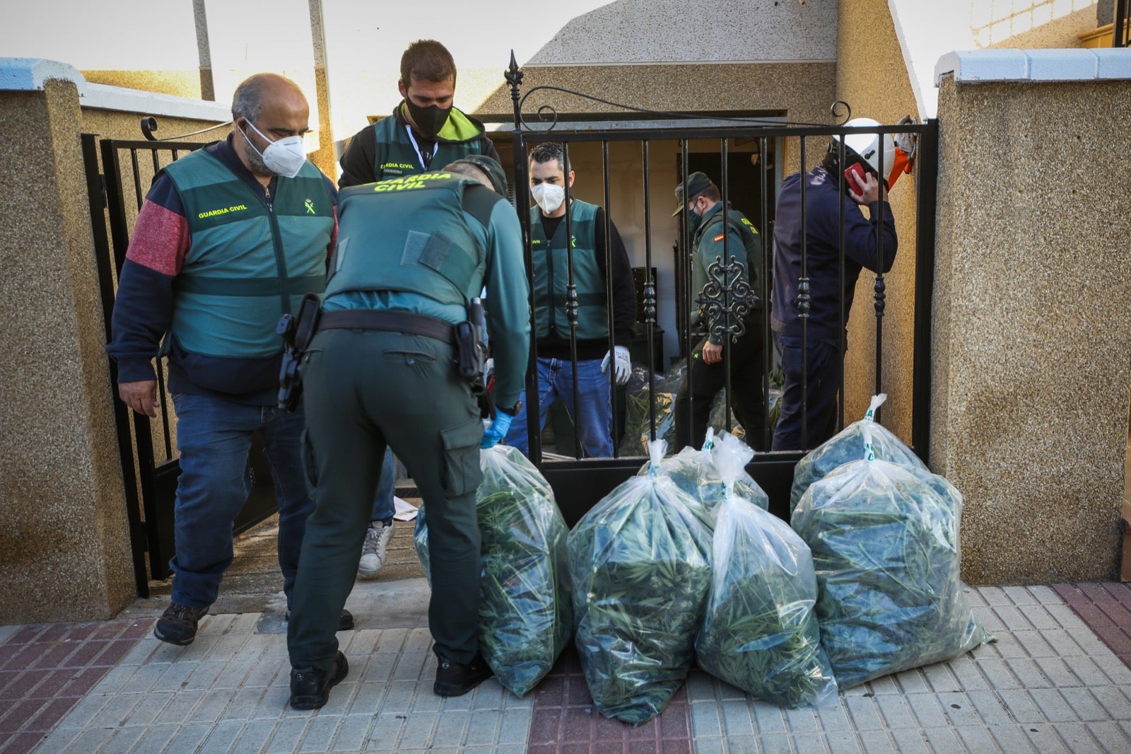 300 guardias civiles, 5.000 plantas, 13 detenidos, armas y coches de lujo