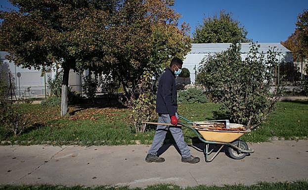 Imagen principal - Kwabena, en plena faena. 