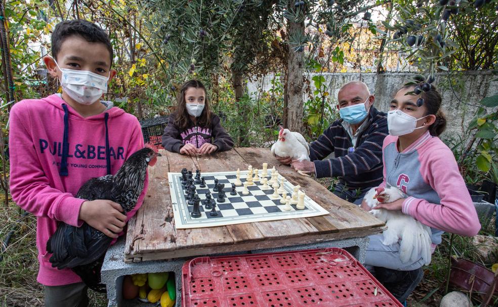 Juan Manuel hijo, Belén, Juan Manuel padre y Milagros juegan al ajedrez rodeados de gallinas. 