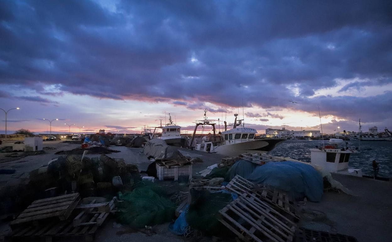 Los pescadores motrileños ven como un «fracaso» la rebaja de días de captura