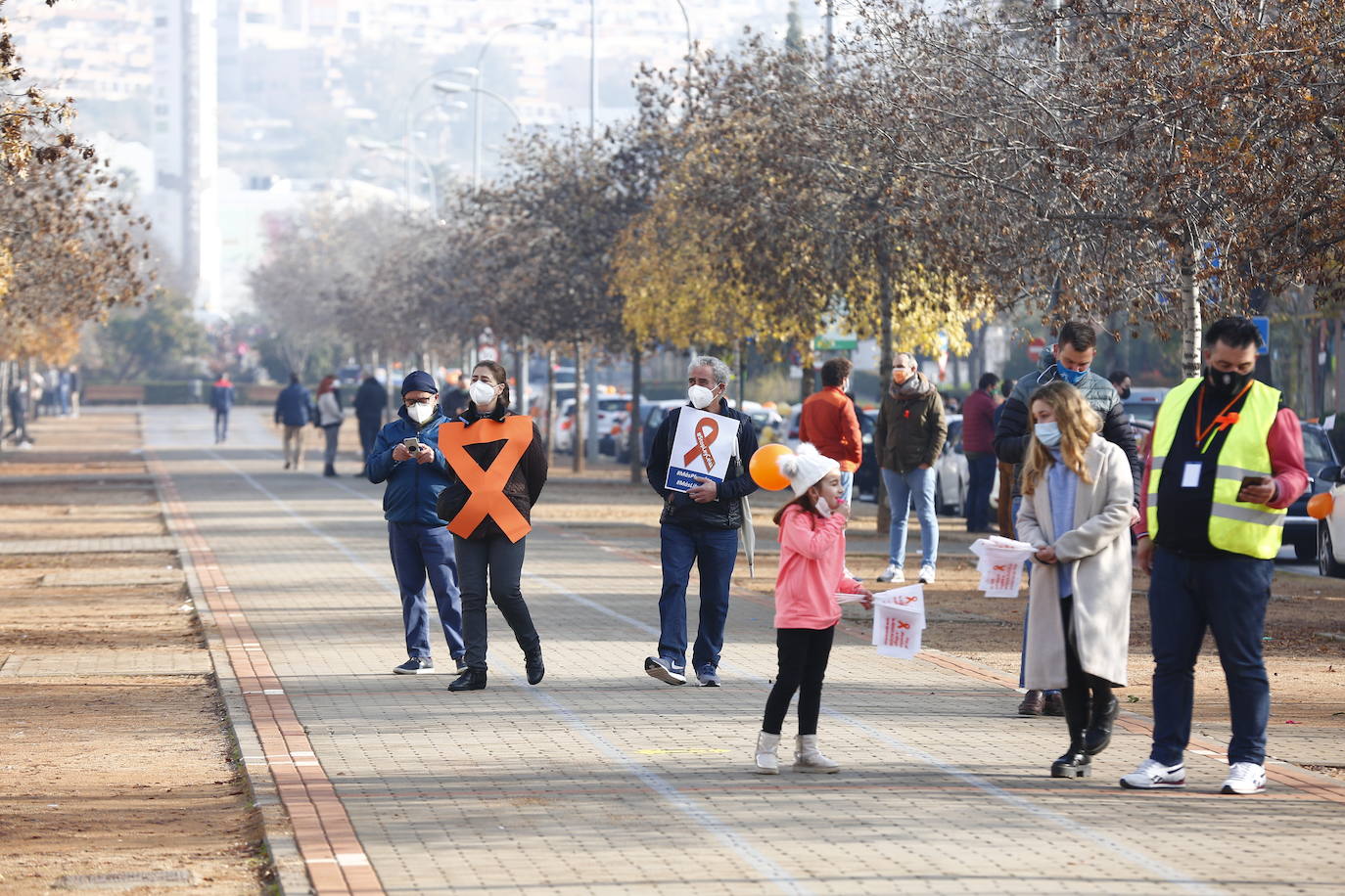 Cientos de coches recorren nuevamente las calles de la ciudad