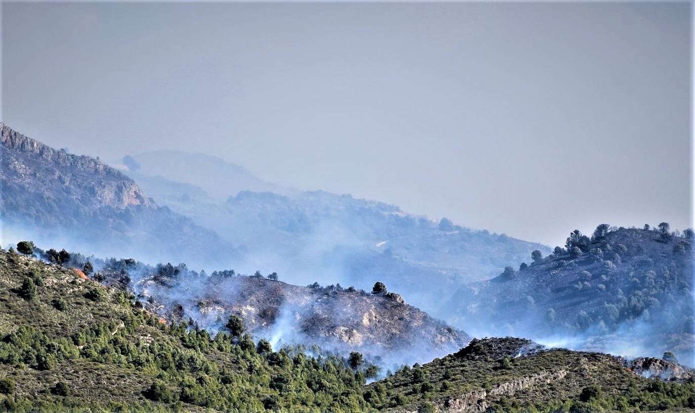 Fotos: Un incendio forestal en Órgiva obliga a desalojar una residencia de ancianos