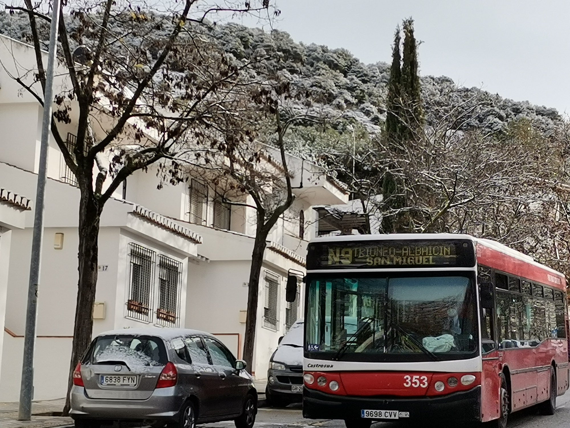 La capital y su área Metropolitana han amenecido con zonas de blanco este domingo