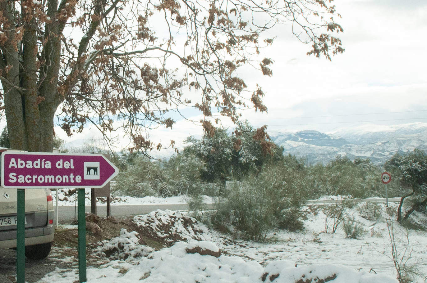 La capital y su área Metropolitana han amenecido con zonas de blanco este domingo