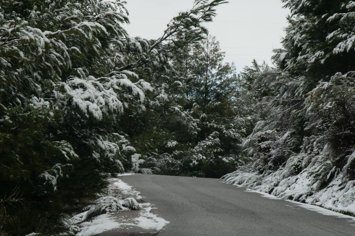 La capital y su área Metropolitana han amenecido con zonas de blanco este domingo