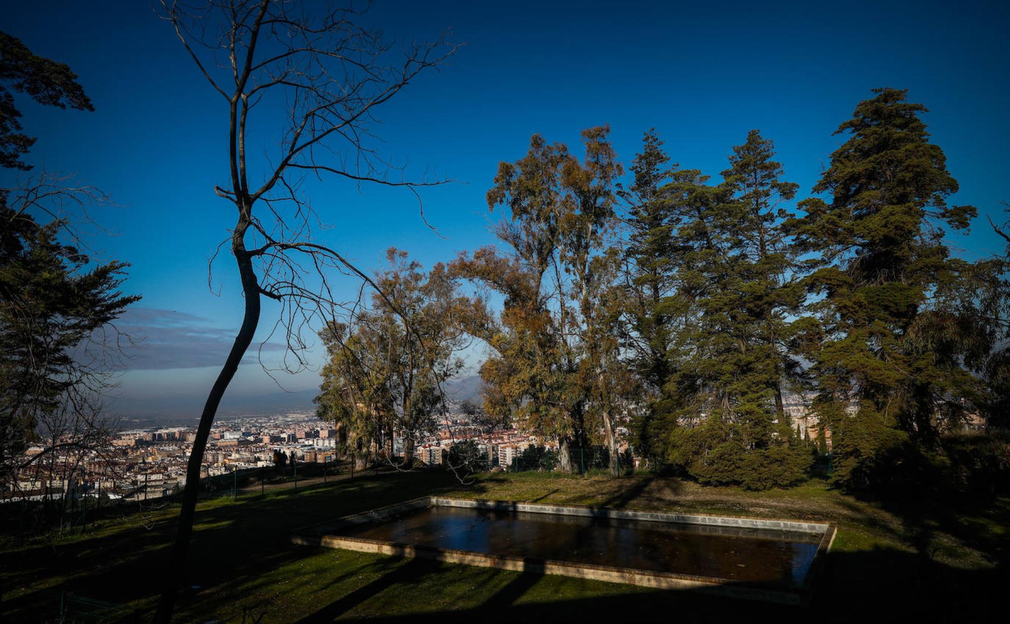 Estanque bajo el que se encuentra el Albercón del Moro. 