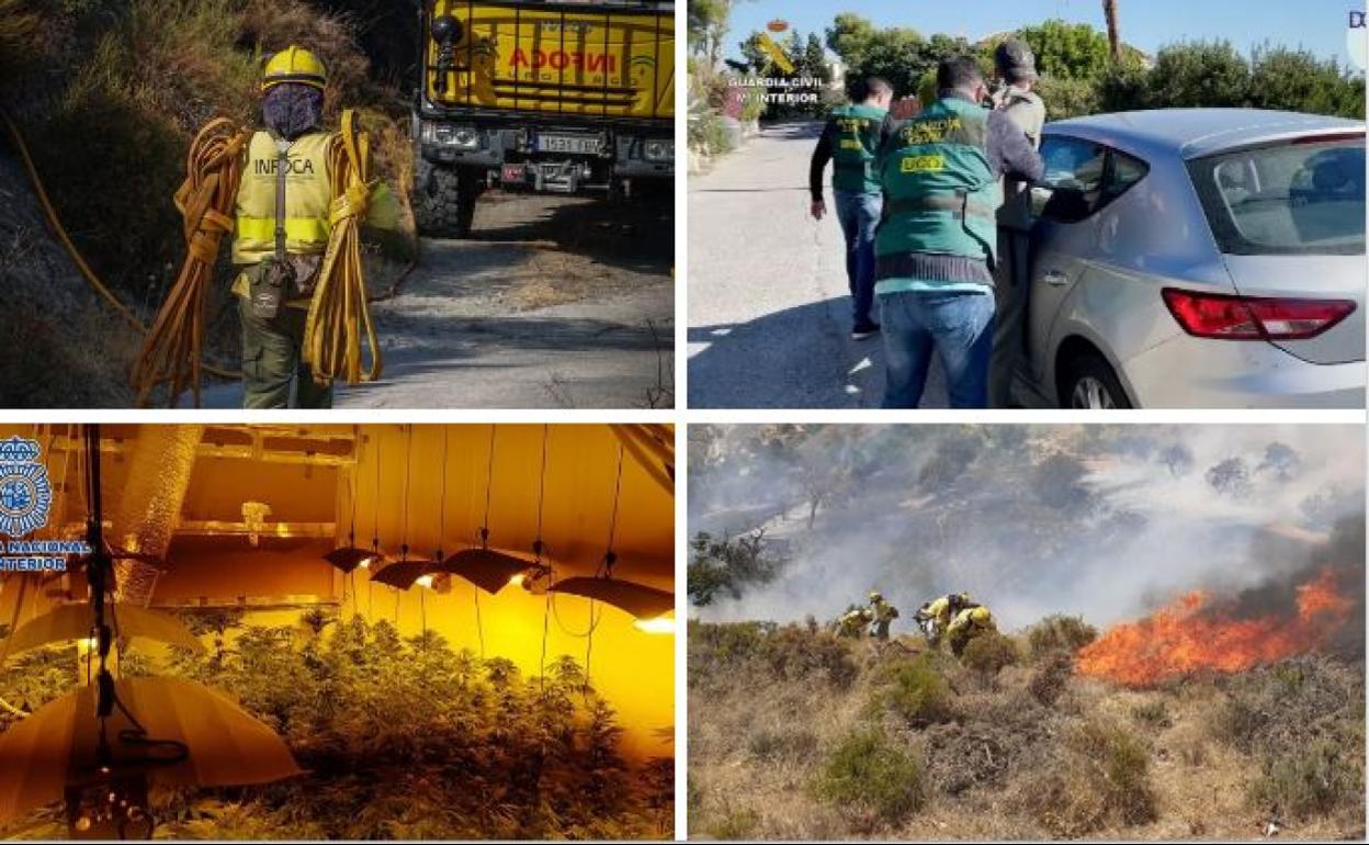 Sucesos en Granada | Las 4 noticias que debes conocer este miércoles