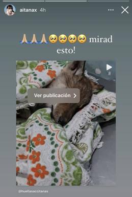 'Stories' de Aitana denunciando el caso de los perros lobos.