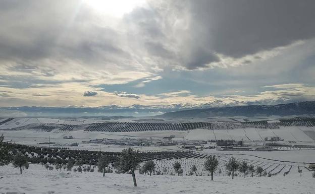 Gobernador, nevado.