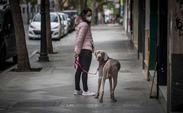 La Junta aclara si se puede pasear al perro en Andalucía después del toque de queda