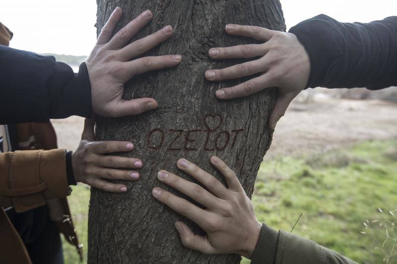 'Ozelot', grabado en un árbol en su honor en el pantano de Cubillas. 