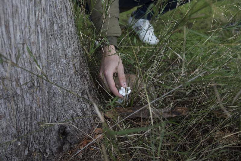 Patri recoge la figura del 'sapo zen' que simboliza la unión entre hermanos en cada uno de los árboles plantados en su honor. 