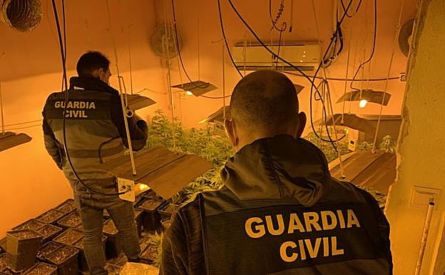 La operación 'Green Daemonium' descubre tres sofisticados invernaderos de marihuana en Cogollos