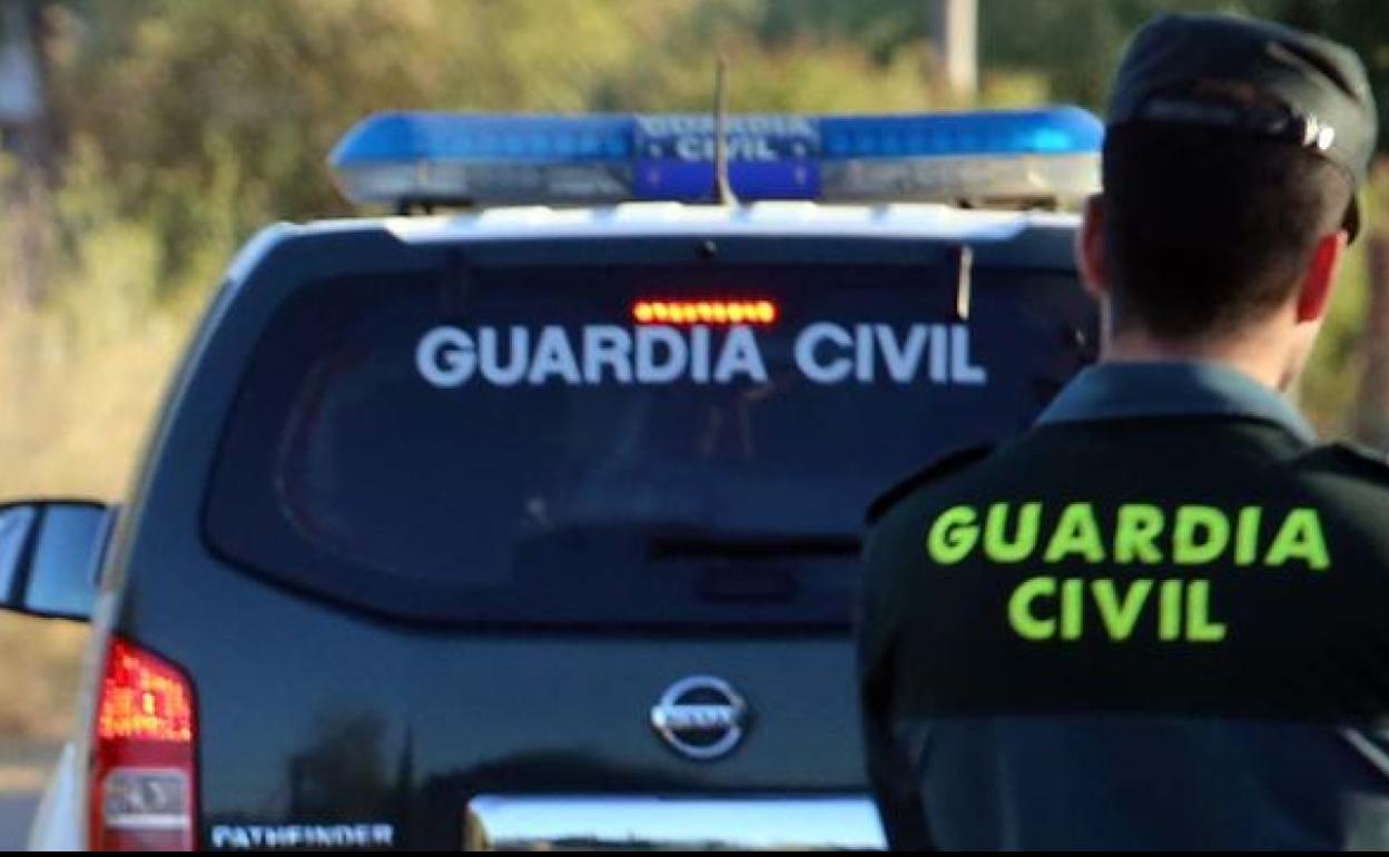 Droga en Granada | Pillados por la Guardia Civil cuando robaban 100 plantas de marihuana de un invernadero de Cenas