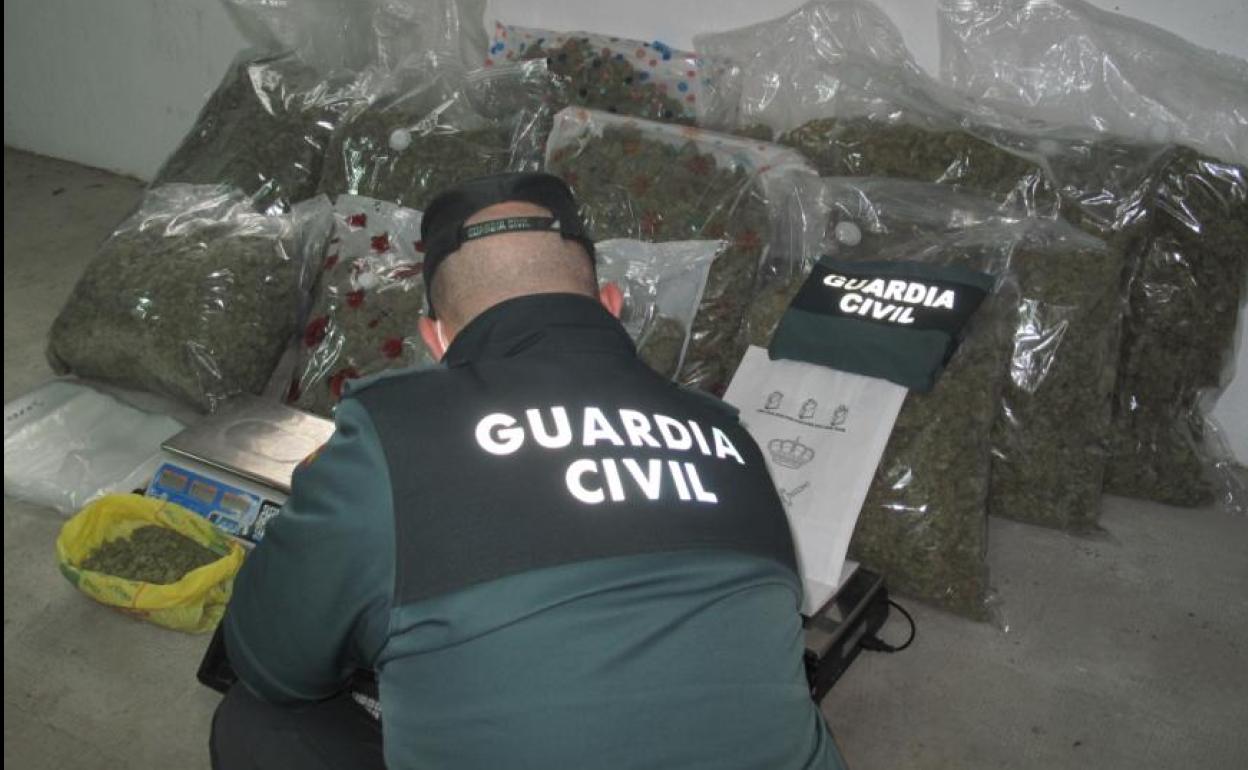Tráfico de droga en Granada | La Guardia Civil se incauta de más de siete mil plantas de mairhuana durante el pasado mes de enero en Granada