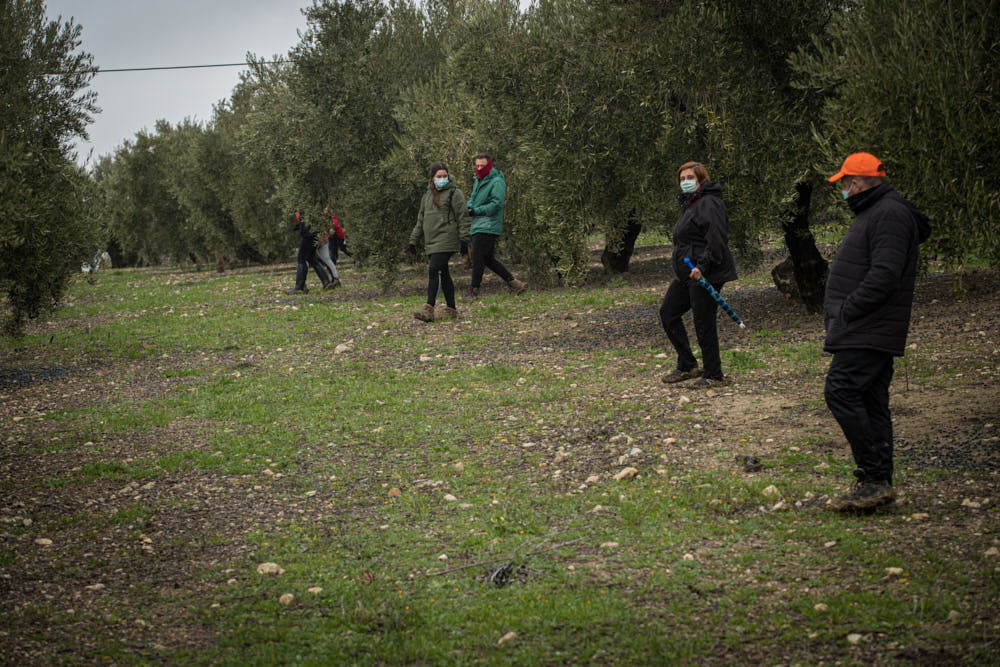 No se sabe nada de él desde el pasado fin de semana, tras el incendio de su vivienda