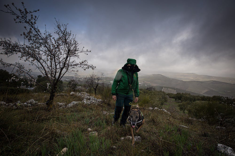 No se sabe nada de él desde el pasado fin de semana, tras el incendio de su vivienda