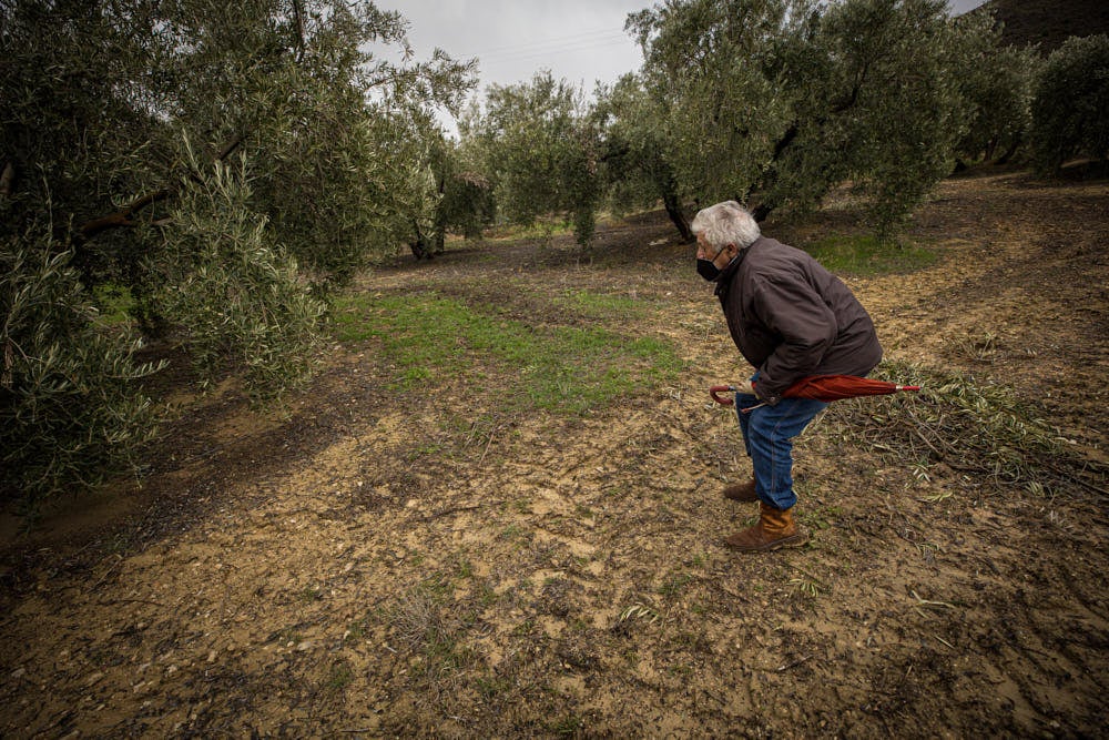 No se sabe nada de él desde el pasado fin de semana, tras el incendio de su vivienda