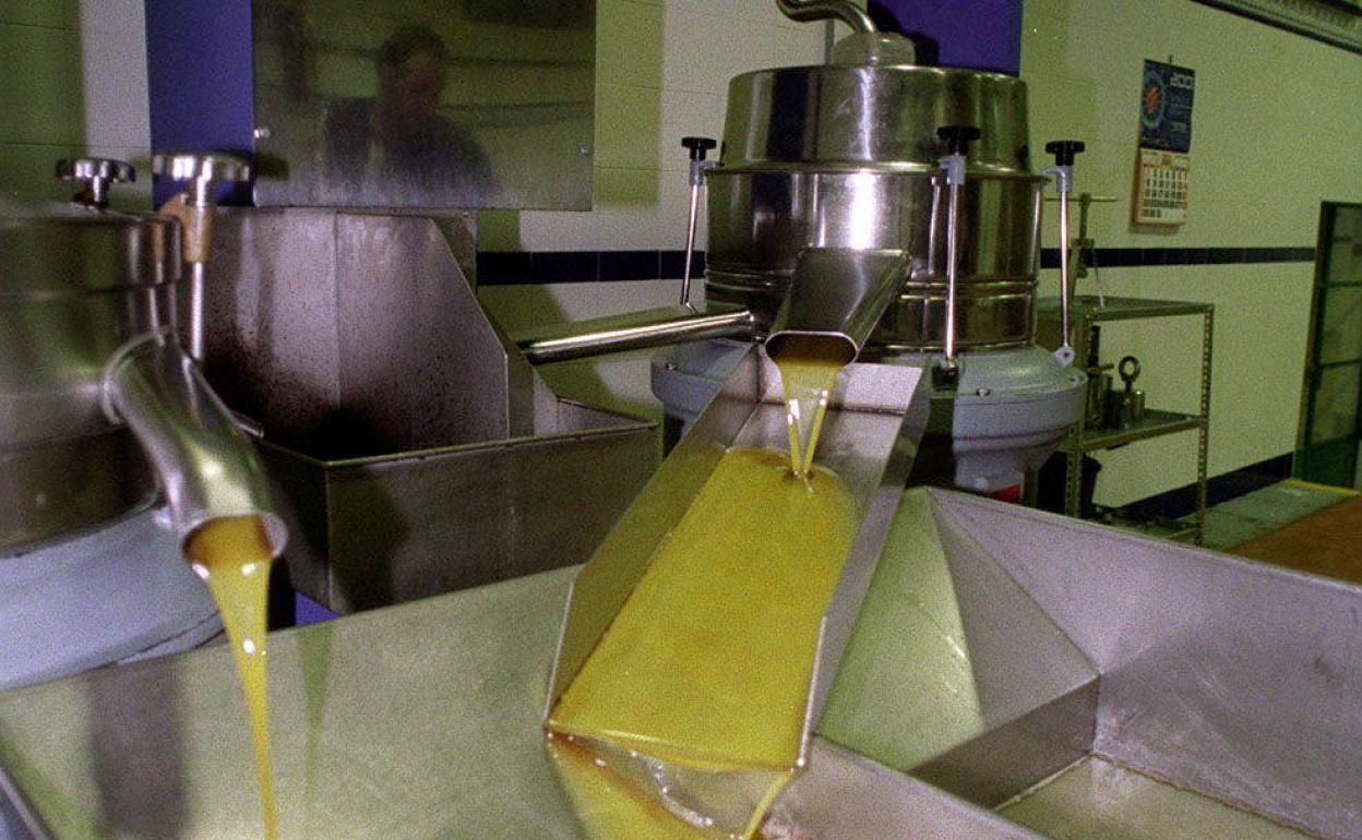 Menos aceite de oliva también en Túnez y Grecia y su influencia en los precios