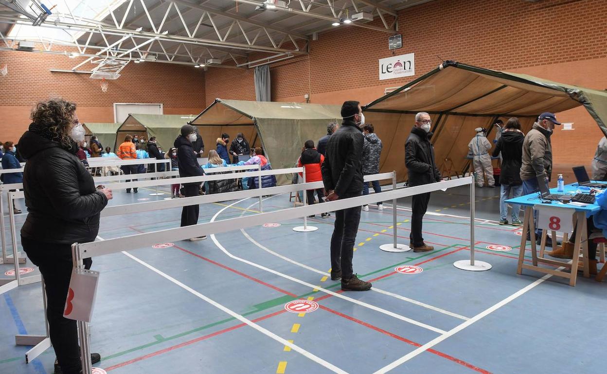 Esperan en un polideportivo para un cribado con test de antígenos. EFE