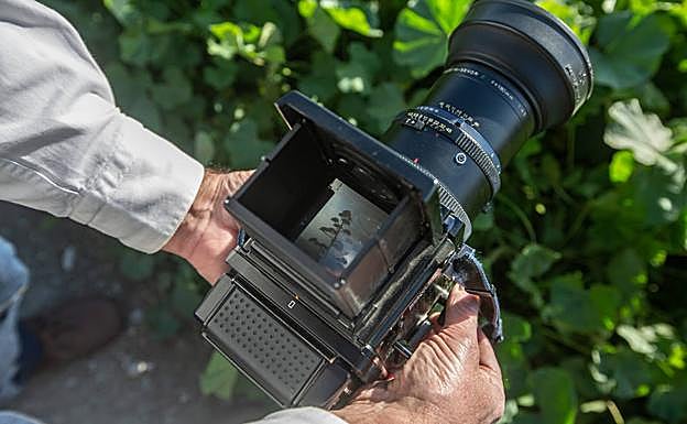 Observando el resultado. 