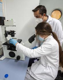 Imagen secundaria 2 - Miembros del equipo de Marchal trabajan con muestras de células. 