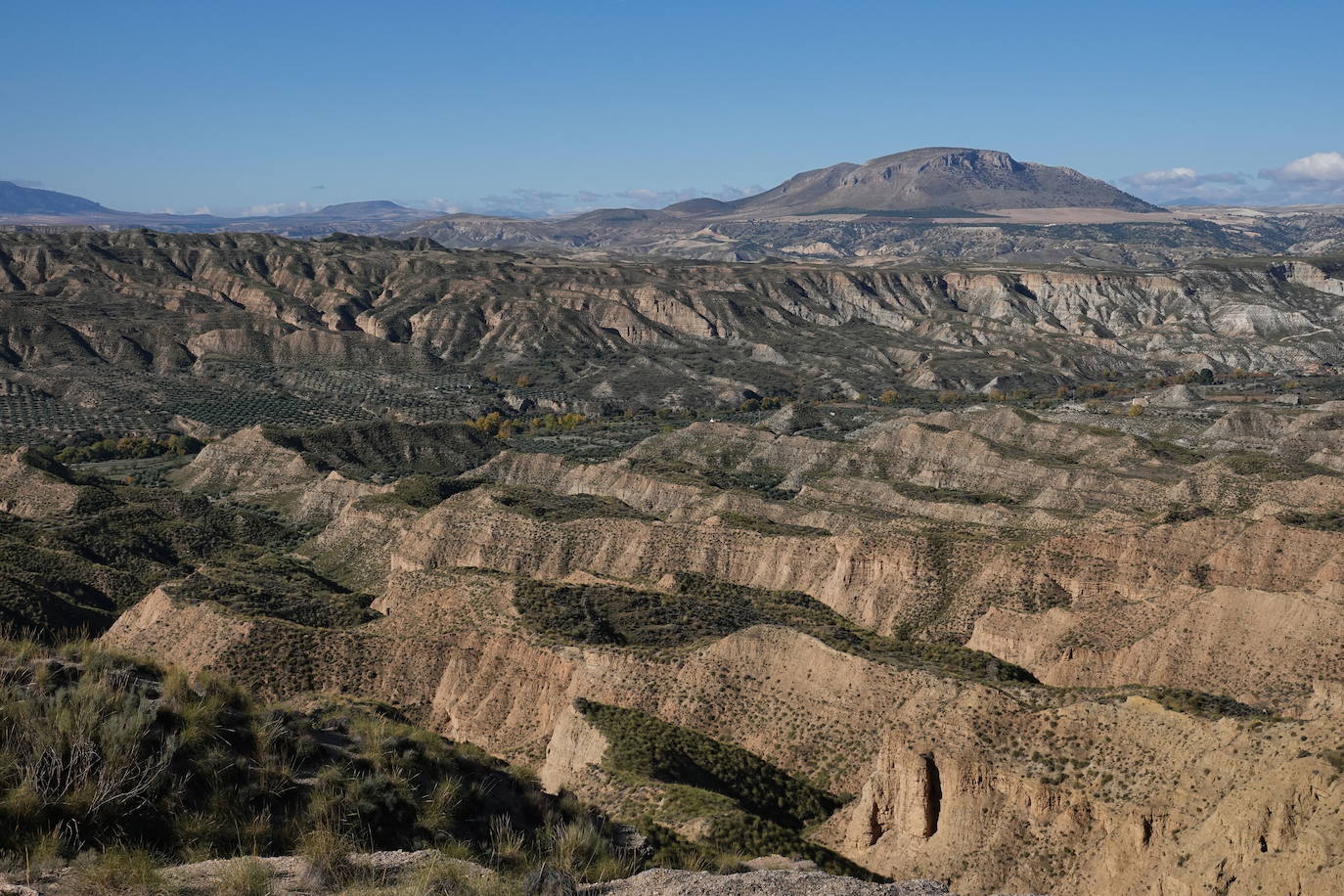 El Geoparque de Granada es un territorio con un patrimonio geológico excepcional, por tener uno de los mejores registros de sedimentos y fósiles continentales de los últimos 5 millones de años de la Historia de la Tierra, especialmente del período Cuaternario. Más de 4.700 km2 repartidos en cuatro comarcas y que abarca a 47 municipios de la parte norte de la provincia de Granada. 