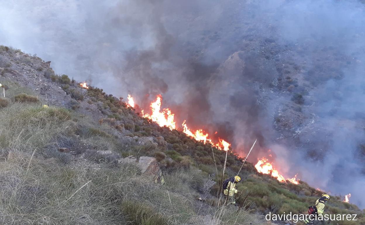 Hay 16 bomberos forestales tratando de controlar las llamas.
