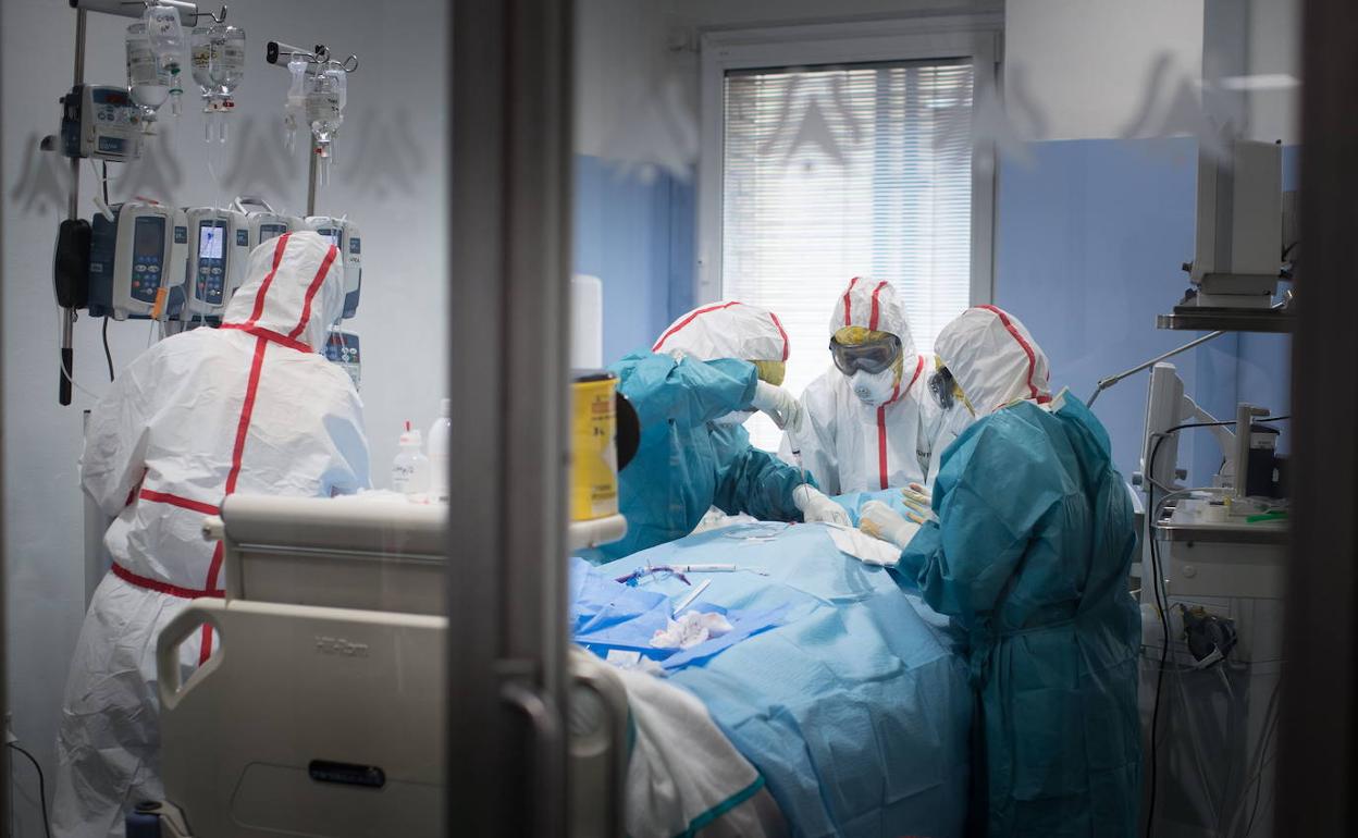 Coronavirus | Un estudio revela el grupo de edad en el que es más común la reinfección por coronavirus