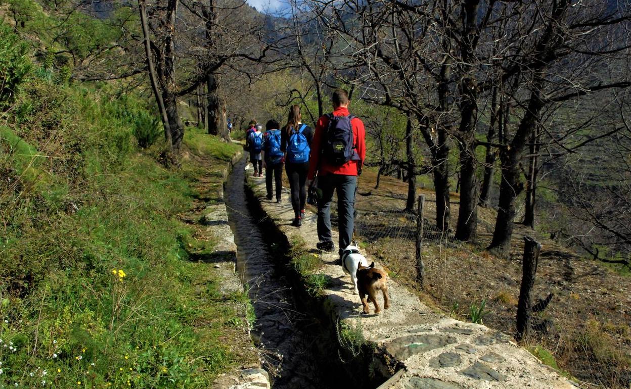 El manejo del agua de deshielo se implantó en Lanjarón con más contundencia en el siglo VIII