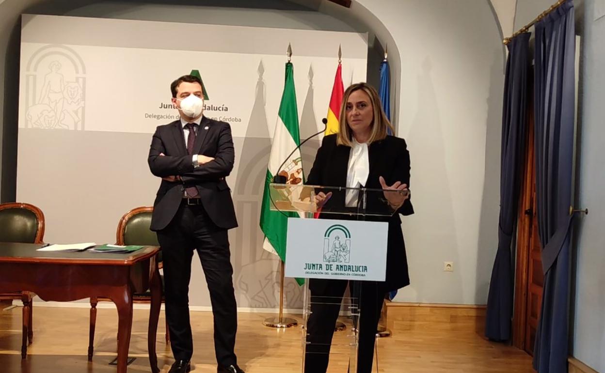 La consejera de Fomento, Marifrán Carazo, durante las declaraciones. 