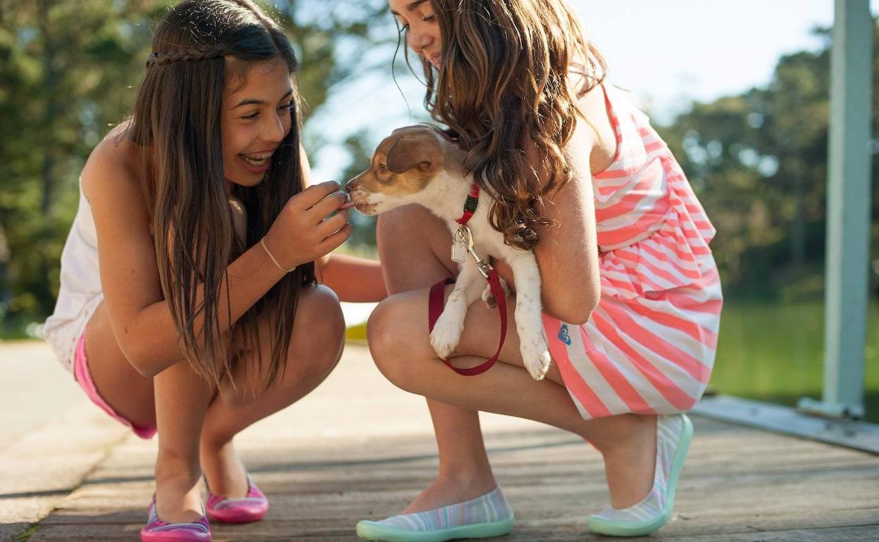 Dos niñas jugando con su mascota