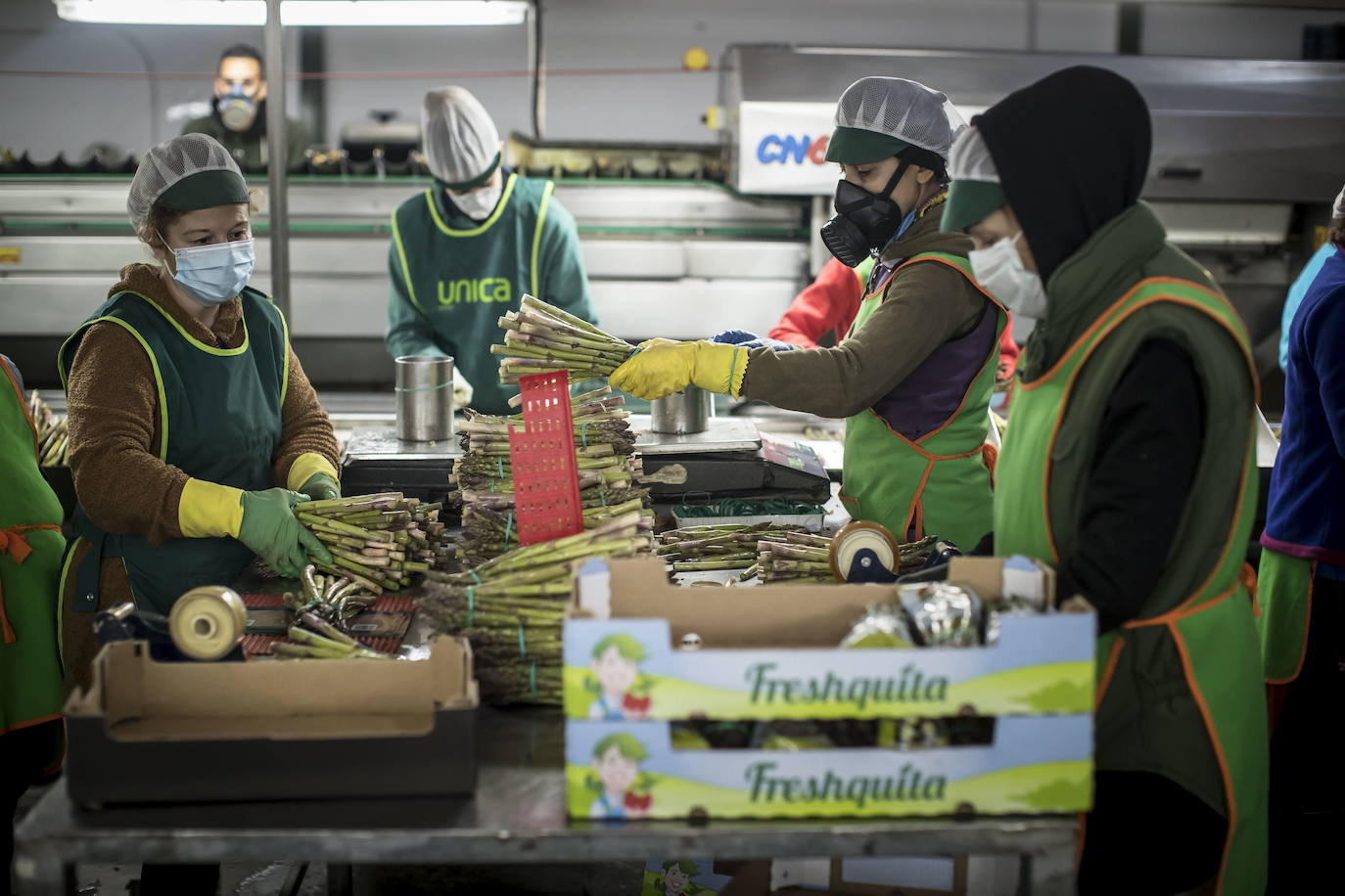 Trabajadoras de la cooperativa GranaGenil en Purchil. 