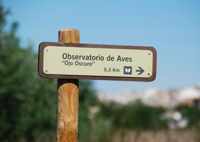 Imagen secundaria 1 - Senderismo en Granada | Un paseo prehistórico por la Ruta del Mamut