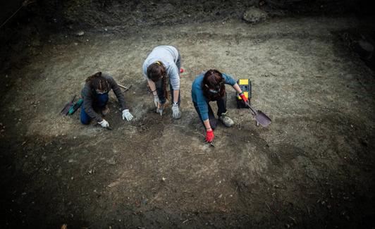 Las picadas son de diez centímetros de profundidad. 