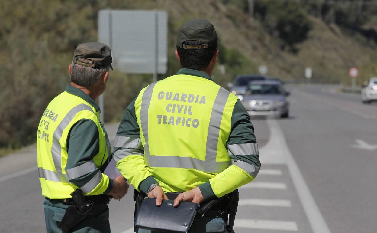 La Guardia Civil alerta de una «salvajada medioambiental» en el coche por la que te pueden multar