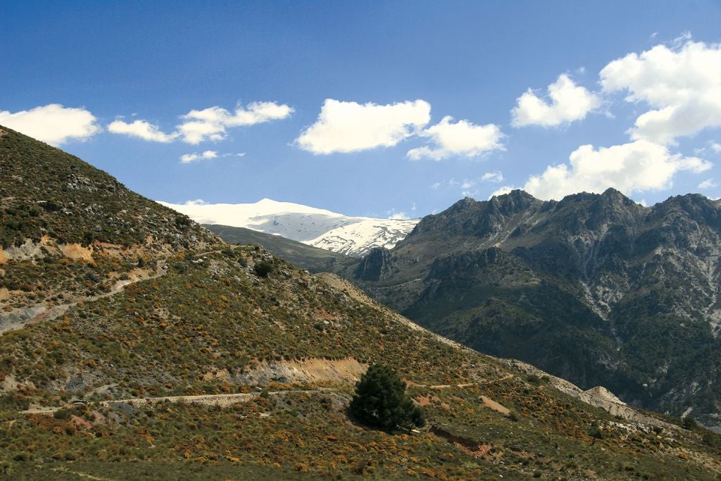 Una aventura por las faldas del pico Trevenque