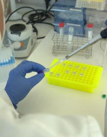 Imagen secundaria 2 - Últimas técnicas de identificación genética en Granada para revelar el verdadero origen de Colón