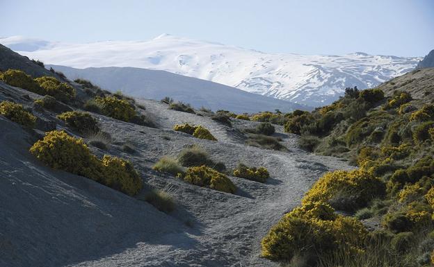 Imagen principal - Senderismo en Granada | Una aventura por las faldas del pico Trevenque