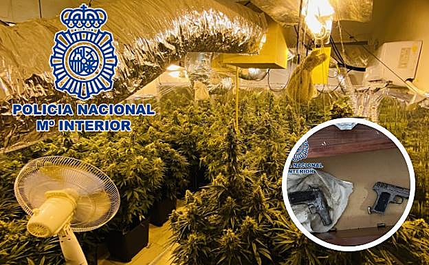 Caen dos grandes invernaderos de marihuana en Motril y Huétor Vega, donde además había dos pistolas
