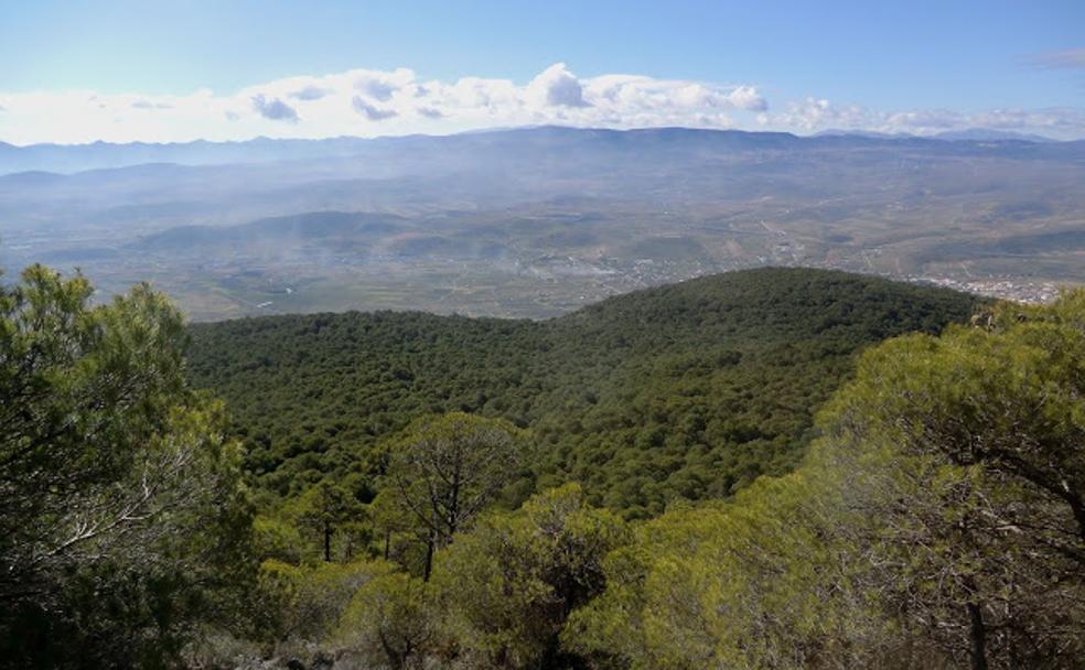 Un balcón desde el que admirar Granada