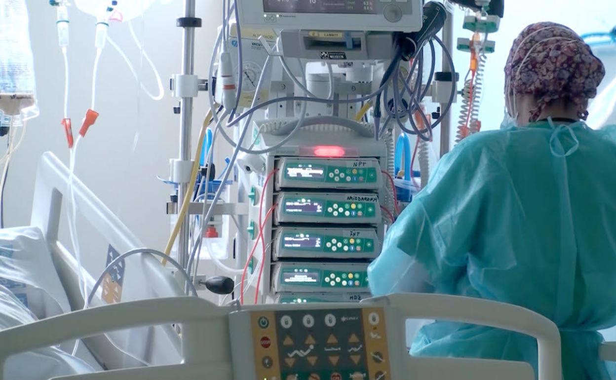 Ingresada en la UCI una persona por infección del Virus del Nilo Occidental