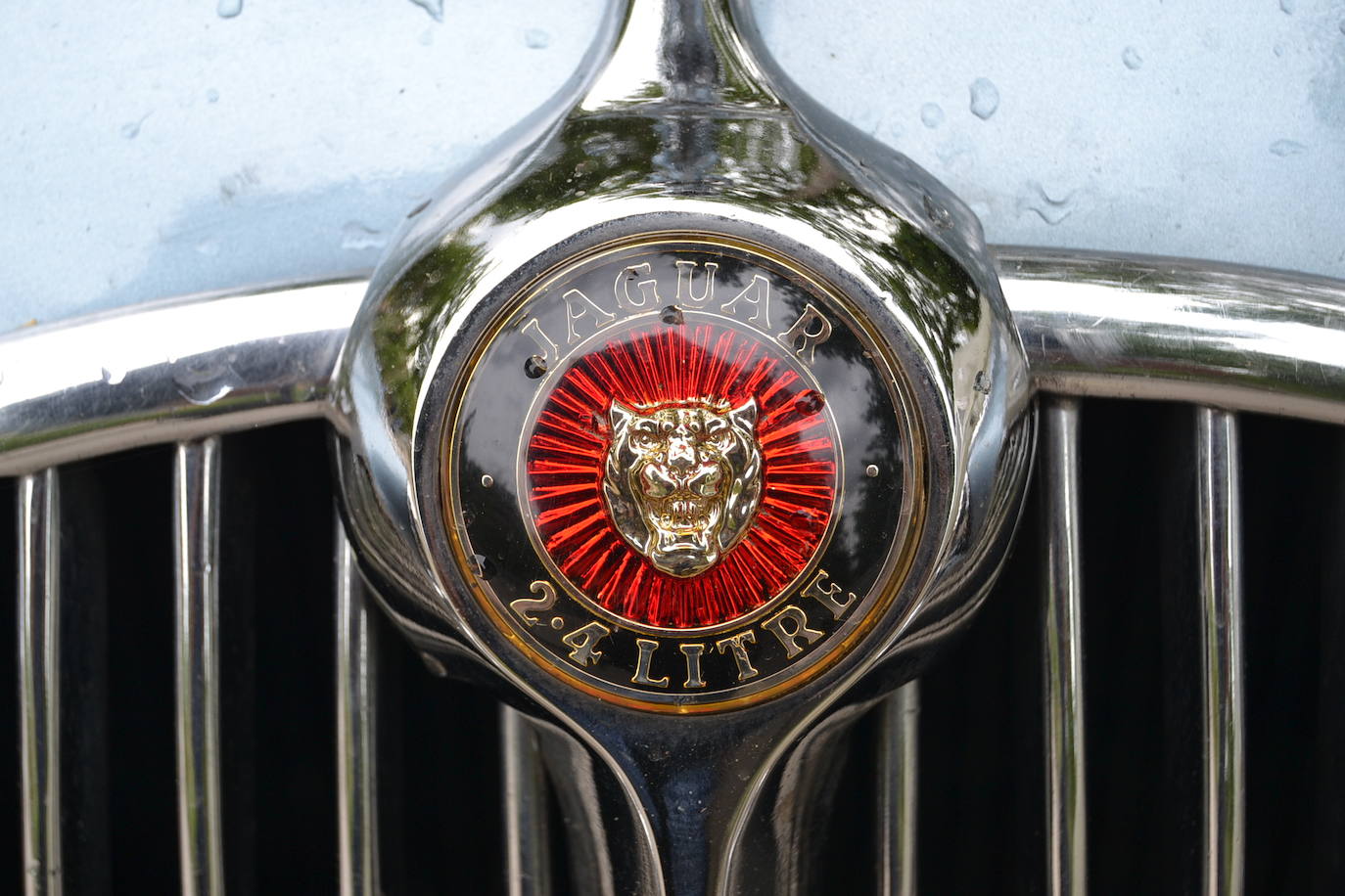 Hasta las 15 horas del domingo se podrán contemplar en el Paseo del Salón, los más de 70 vehículos del siglo pasado participantes en la XVII Ruta Reale.