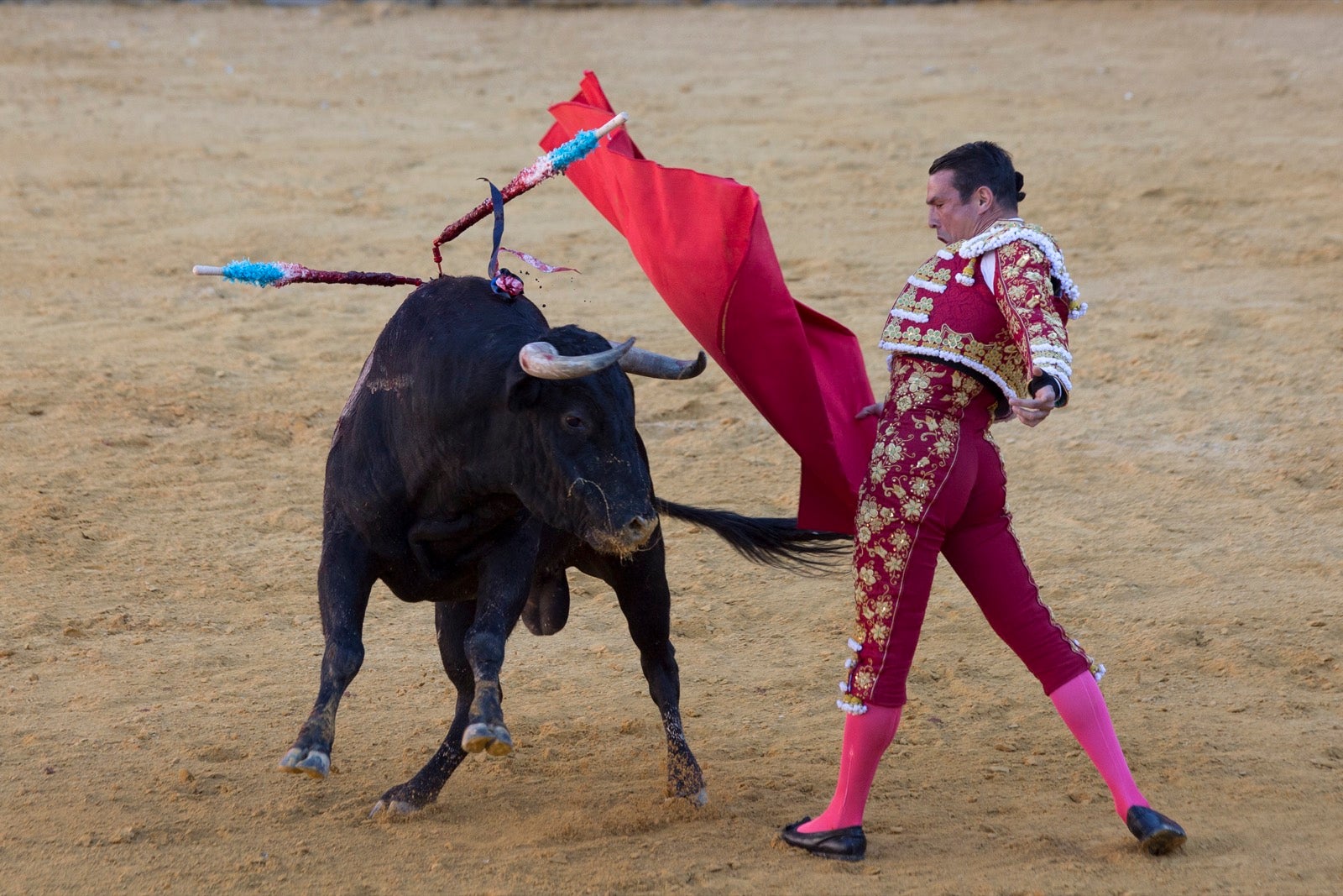 Morante, Manzanares y Aguado cierra la feria taurina.