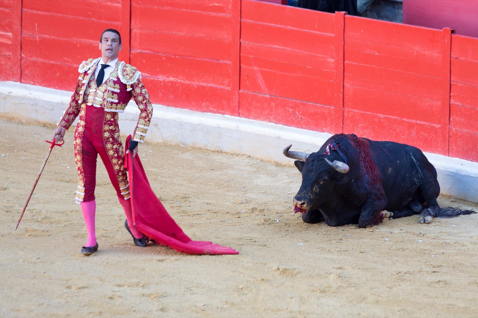 Morante, Manzanares y Aguado cierra la feria taurina.