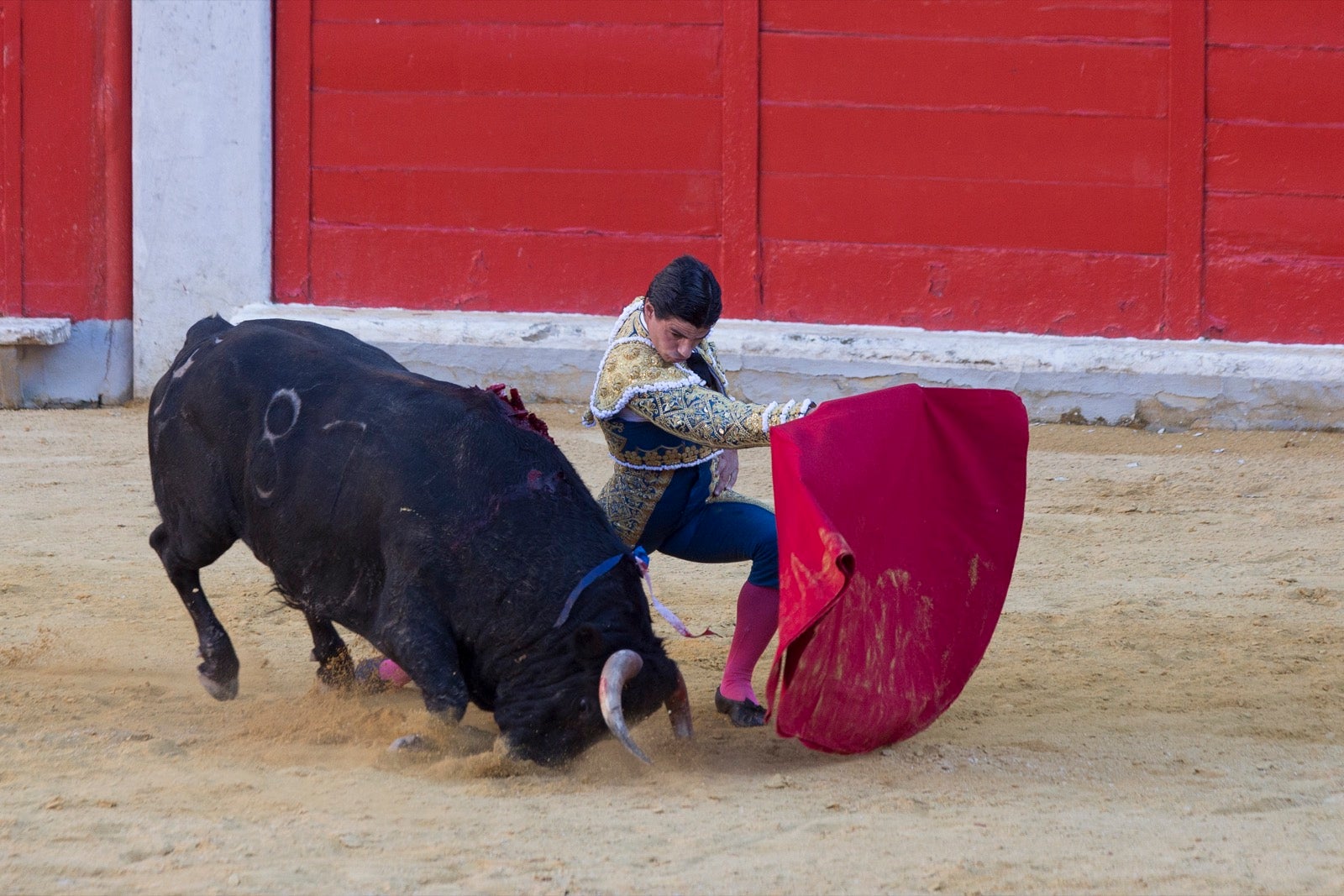 Morante, Manzanares y Aguado cierra la feria taurina.