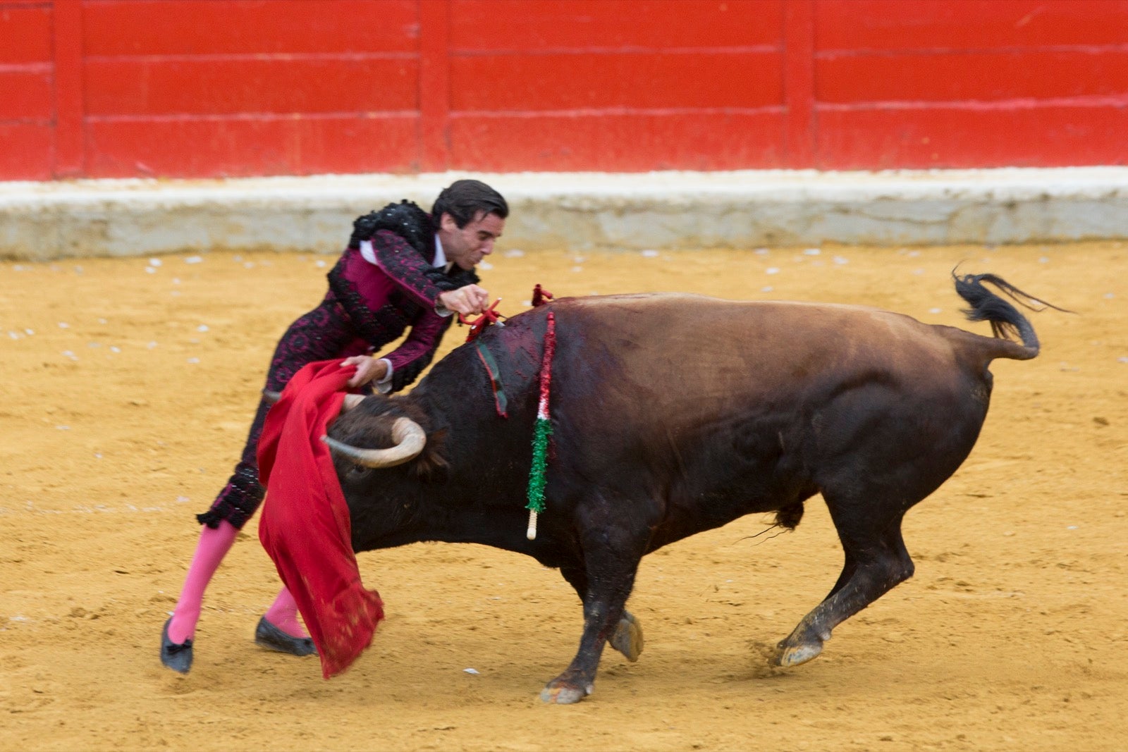 Segunda corrida de la feria taurina de Granada