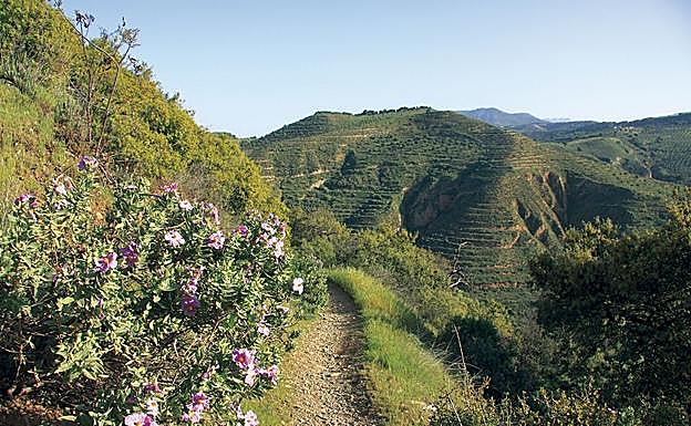 Imagen principal - Senderismo en Granada | La Dehesa del Generalife, una ruta entre alijbes y miradores