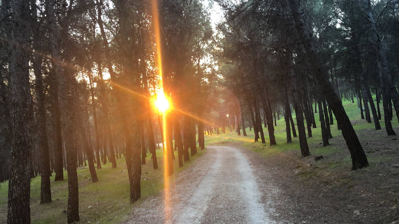 Vista de la salida del sol desde la bajada de El Neveral por la ladera del Castillo, en la capital. 