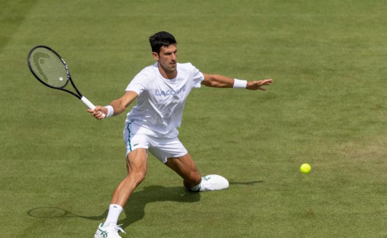 Djokovic, golpeando la bola